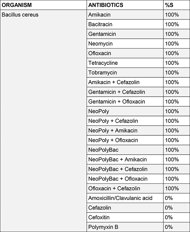 Bacillus cereus