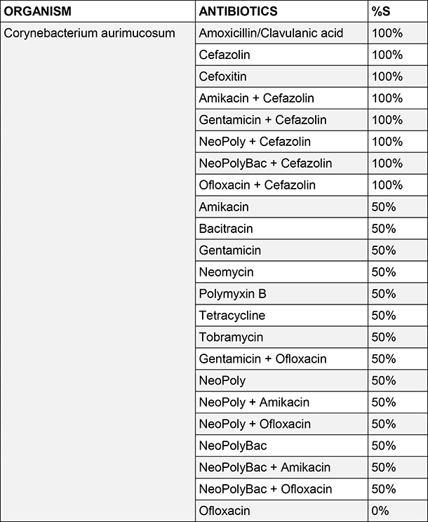 Corynebacterium aurimucosum