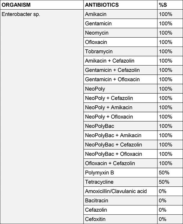 Enterobacter sp