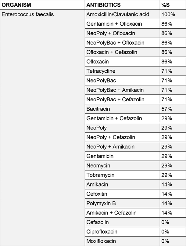 Enterococcus faecalis