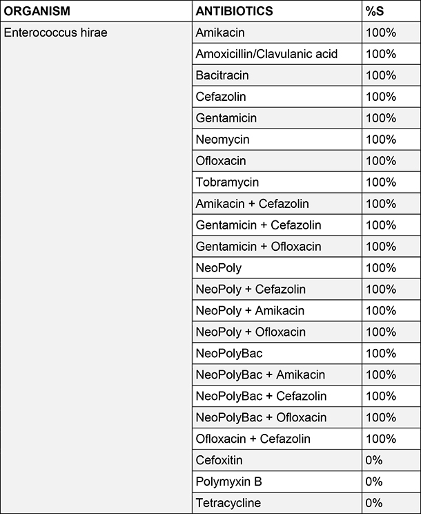 Enterococcus hirae