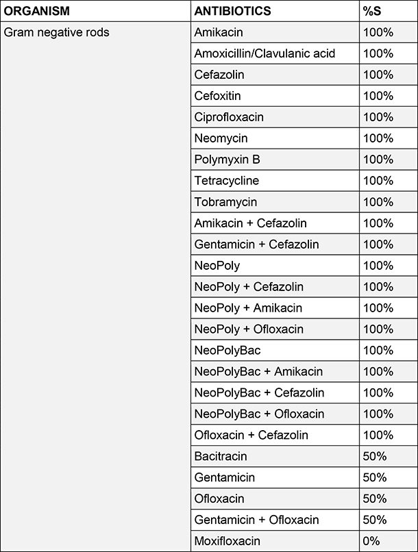 Gram negative rods