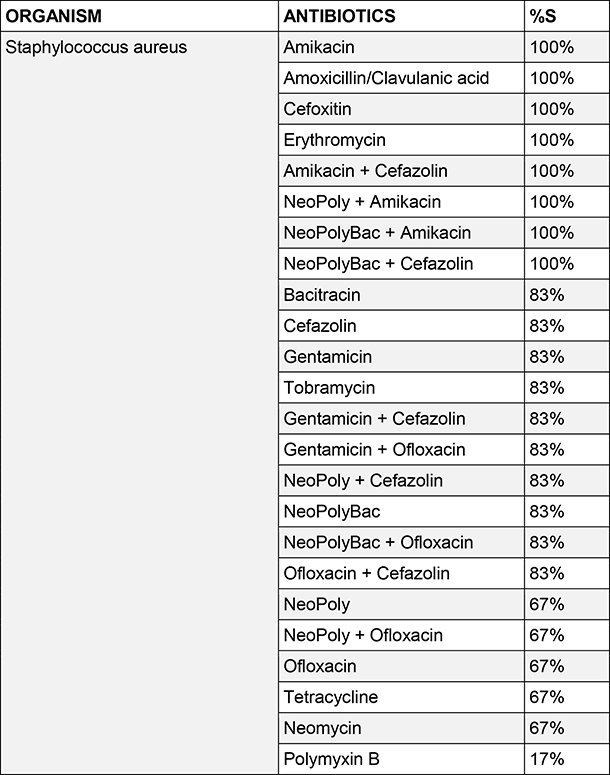 Staphylococcus aureus