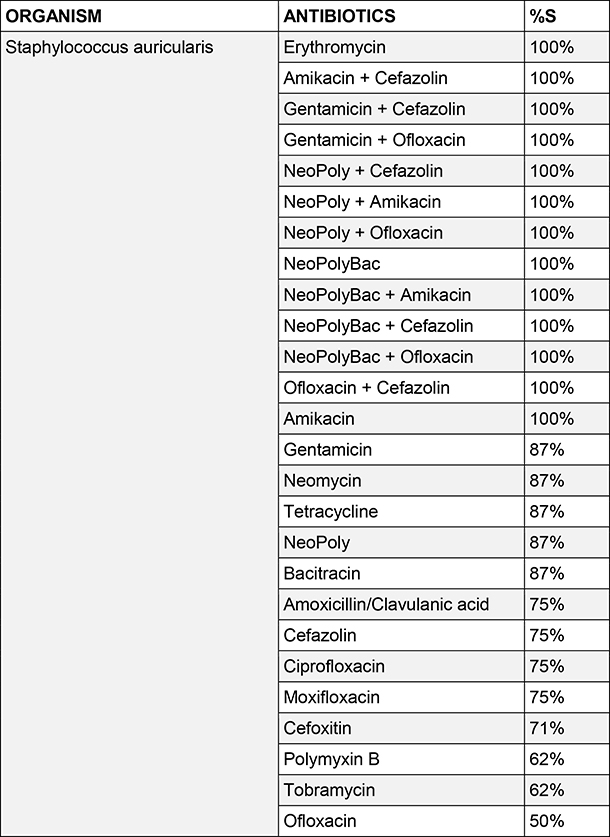Staphylococcus auricularis
