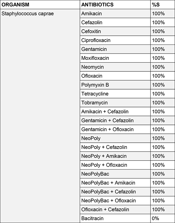 Staphylococcus caprae