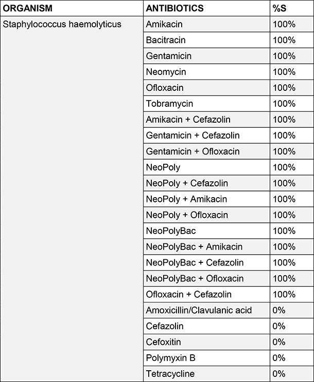 Staphylococcus haemolyticus