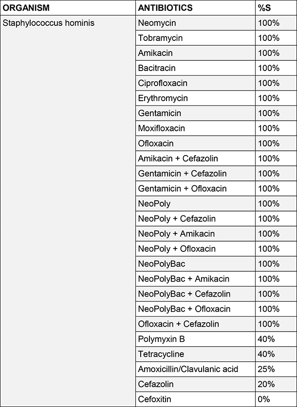 Staphylococcus hominis