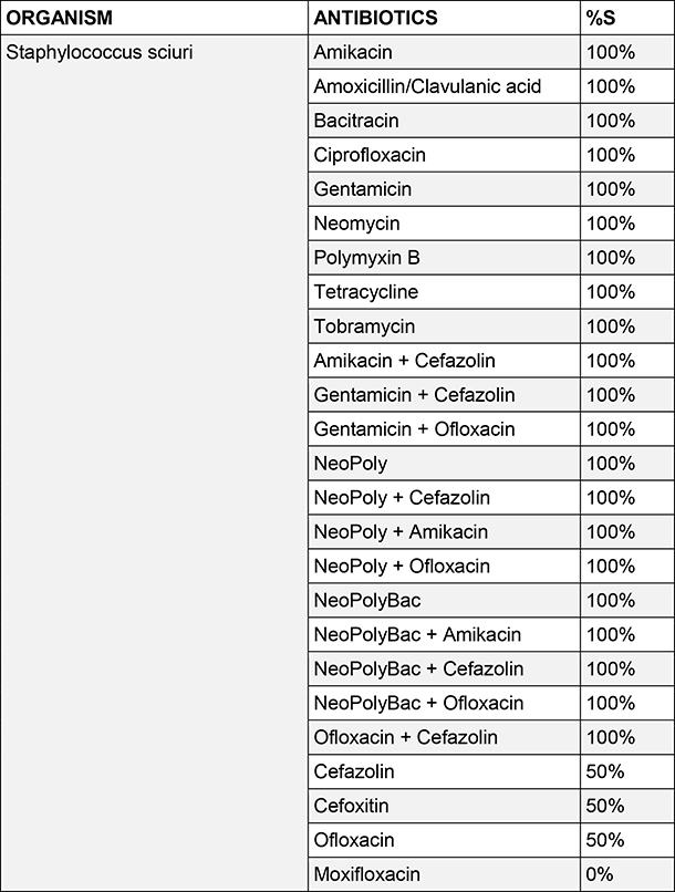 Staphylococcus sciuri