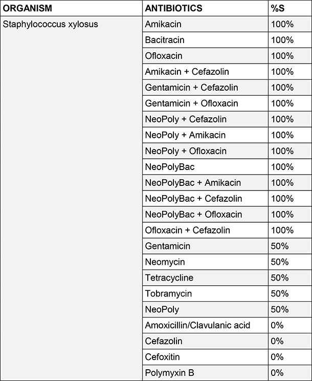 Staphylococcus xylosus